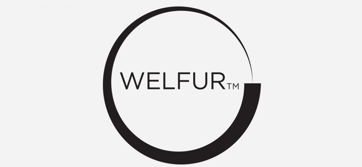 Украинские норковые фермы получили международный сертификат WelFur