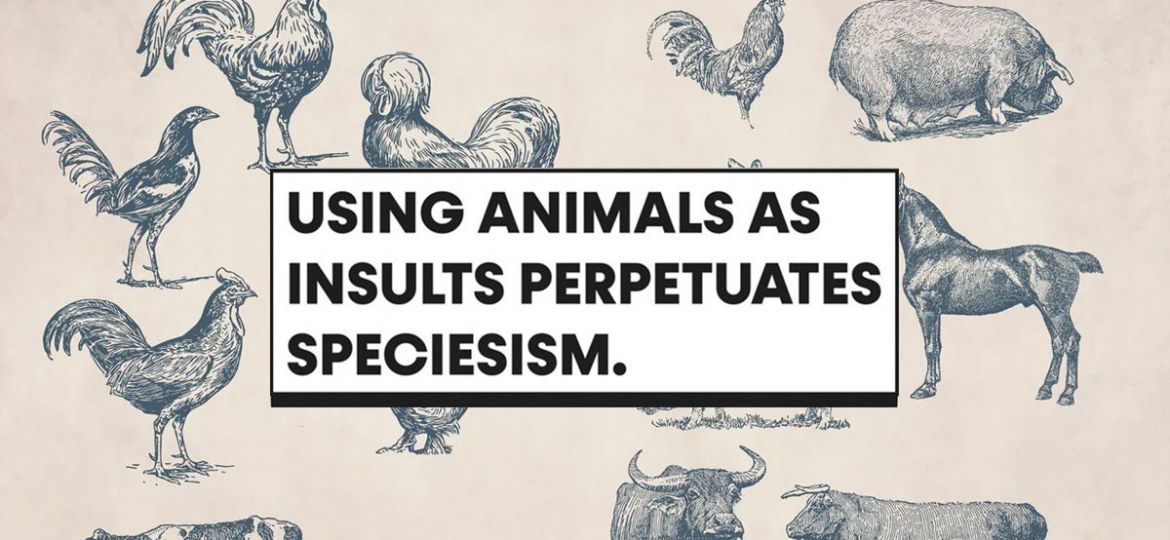 PETA высмеивает в социальных сетях оскорбления: понятия «свинья», «курица» причиняет боль животным