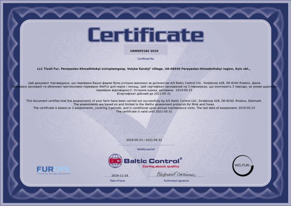 Сертификат welfur звероплемхоза Большая Каратуль