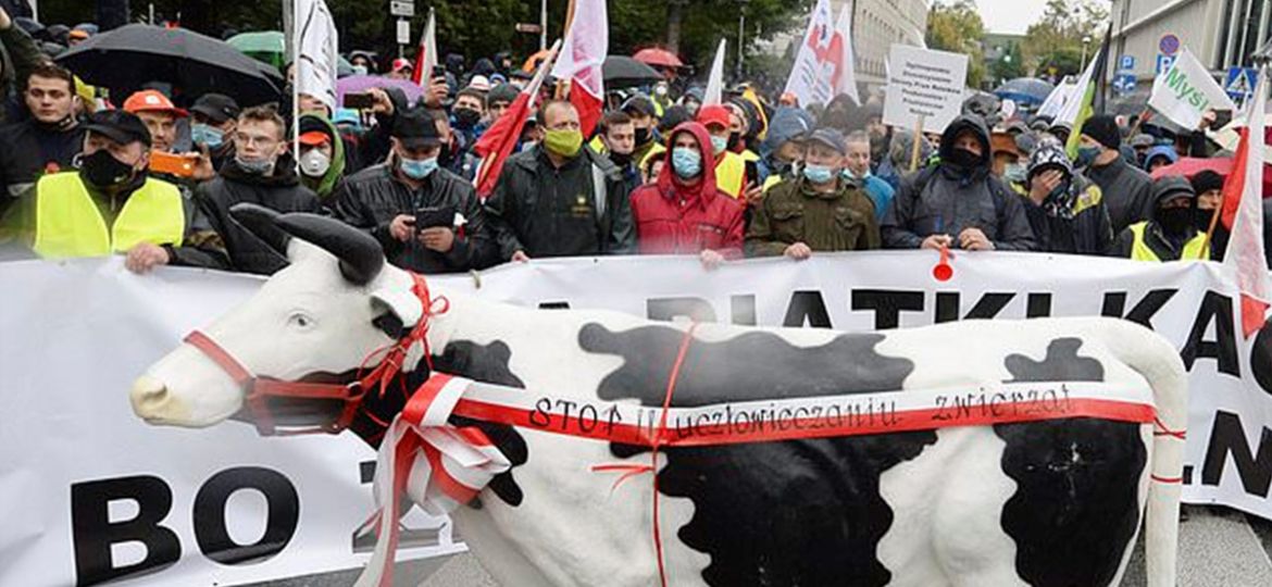 Польські фермери протестують проти запланованого закону про захист тварин